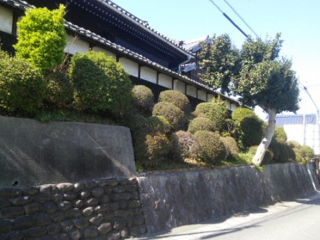 画像18